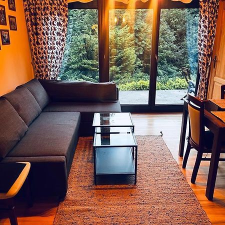 Butorowy Cichy Potok Apartamento Kościelisko Exterior foto